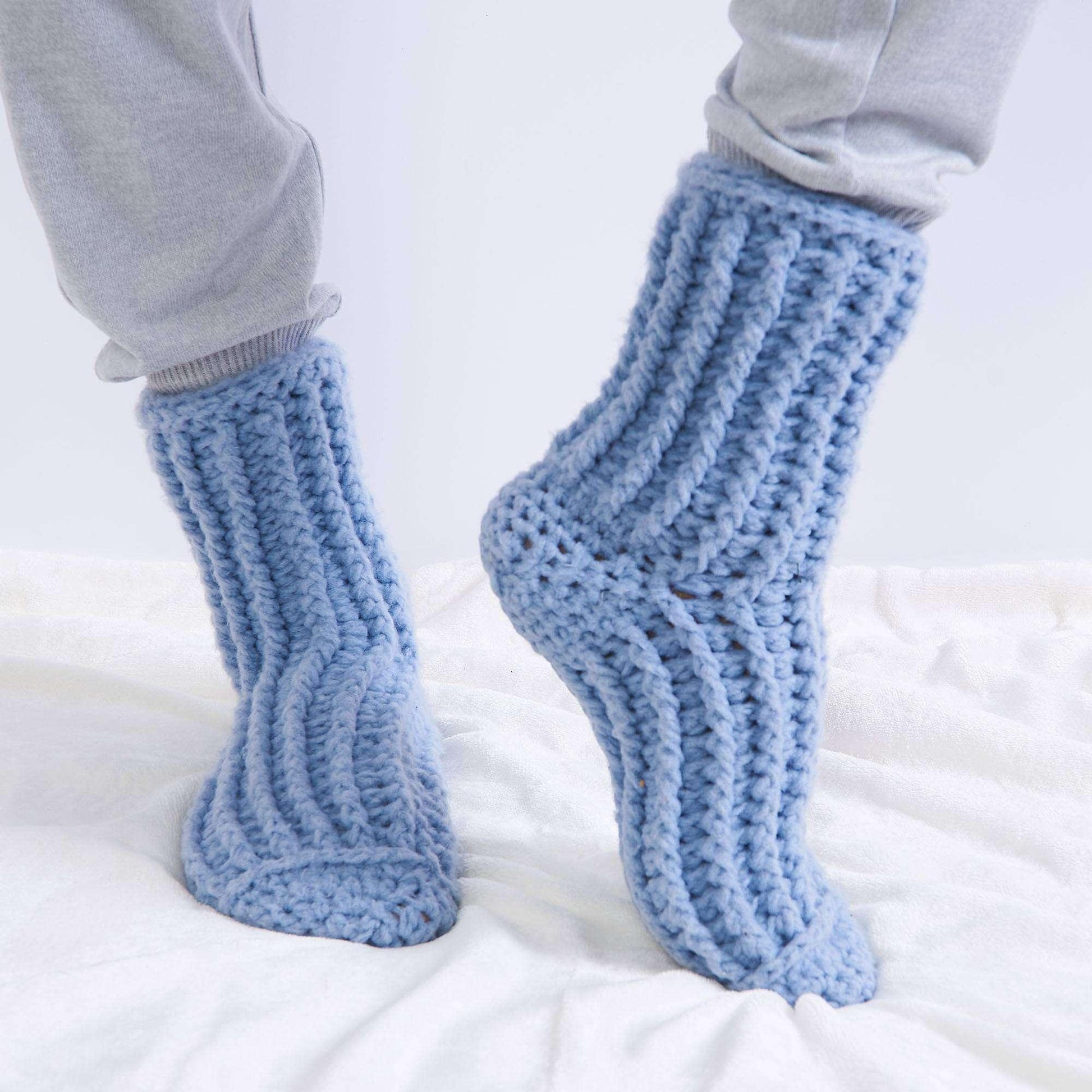 Bernat Cozy Crochet Ribbed Reading Socks - Dynamic Frog