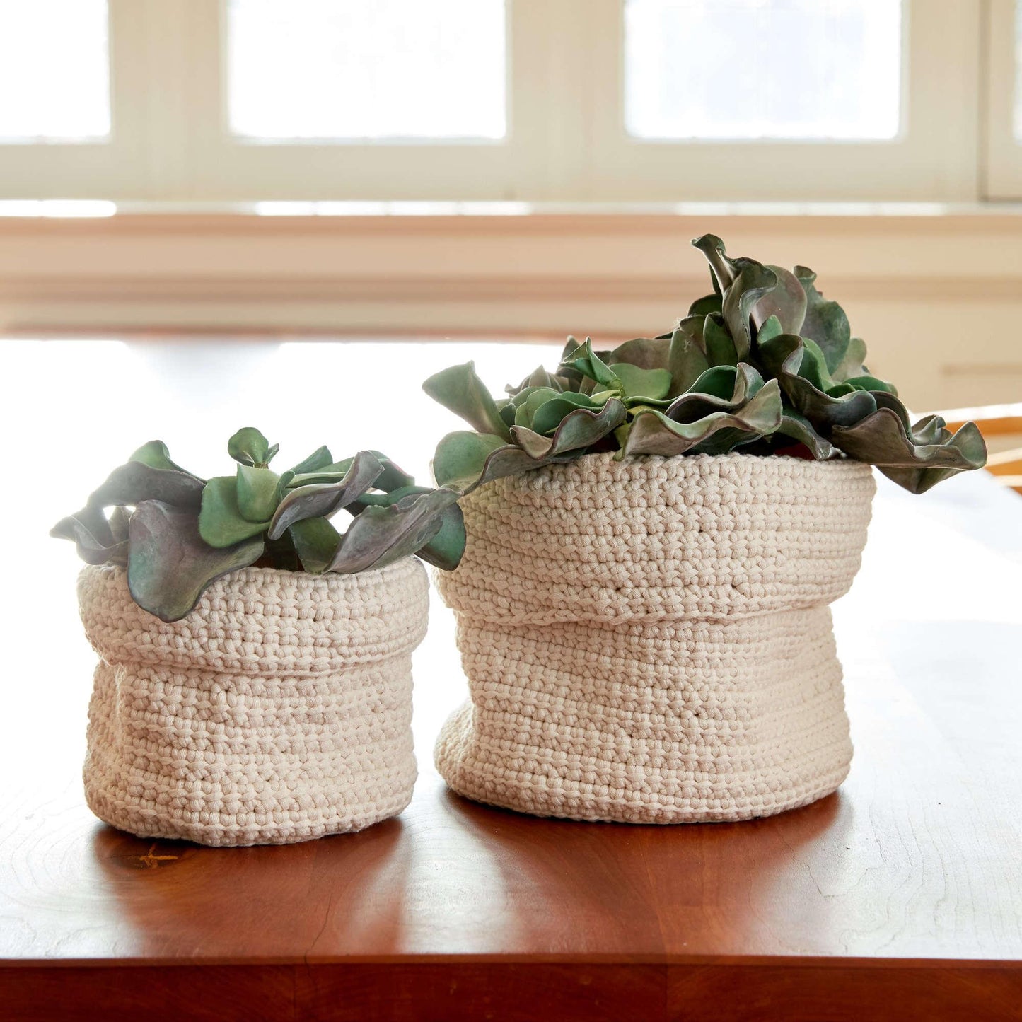 Bernat Slouchy Crochet Plant Holders