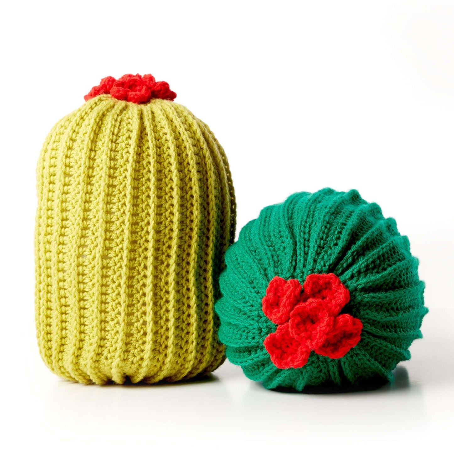 Bernat Crochet Cactus Pillow