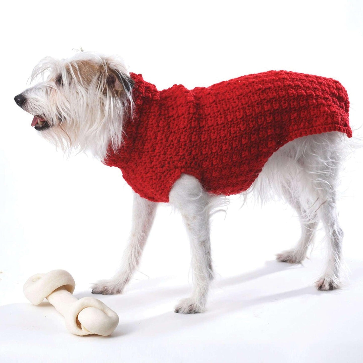 Bernat Crochet Dog Coat