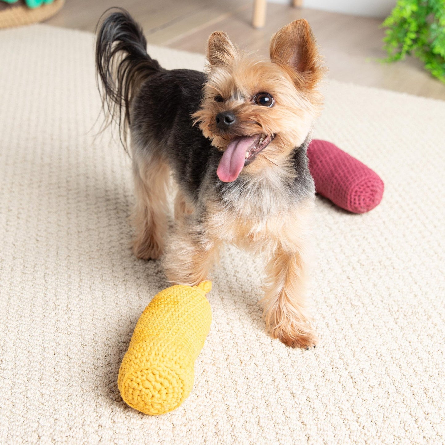 Bernat Ketchup & Mustard Crochet Pet Toys