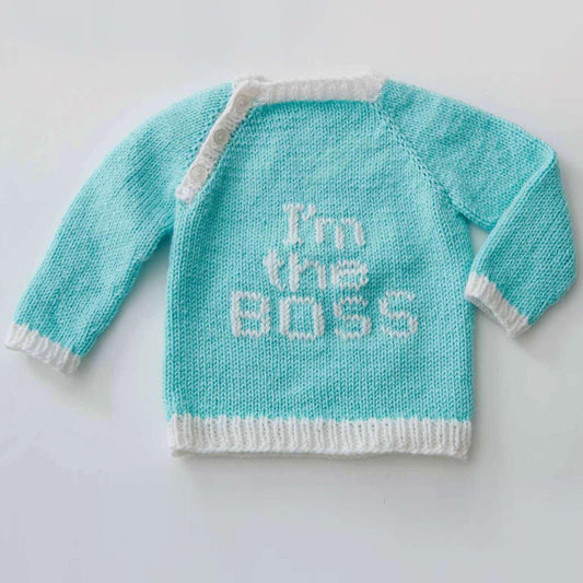 Bernat Knit Get The Message Pullover