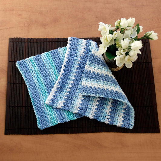 Bernat Knit Dishcloth