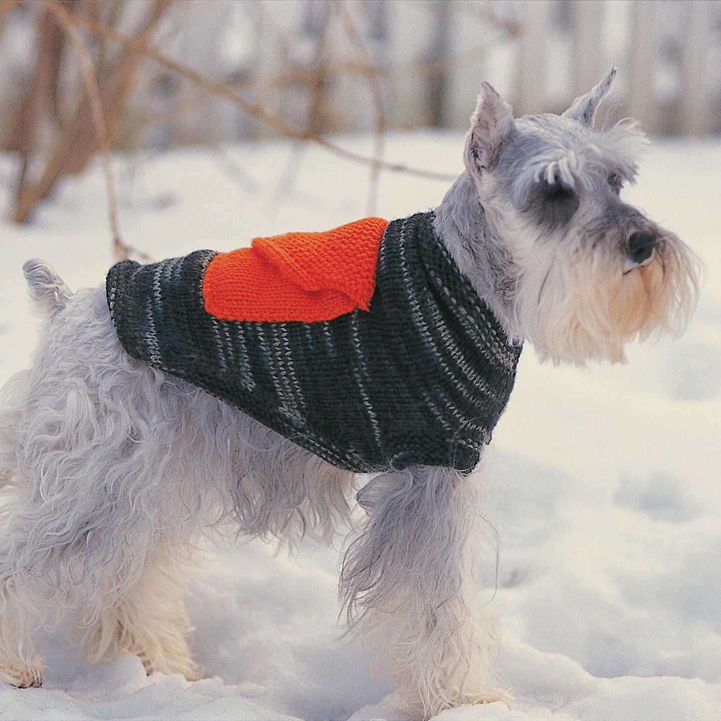 Bernat Knit Dog Coat With Cargo Pockets