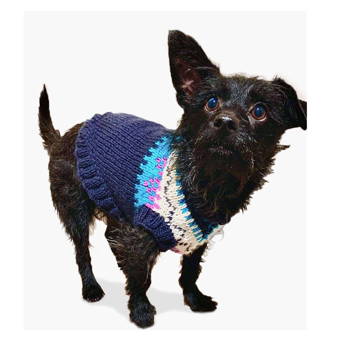 Bernat Family Knit Family Dog Sweater