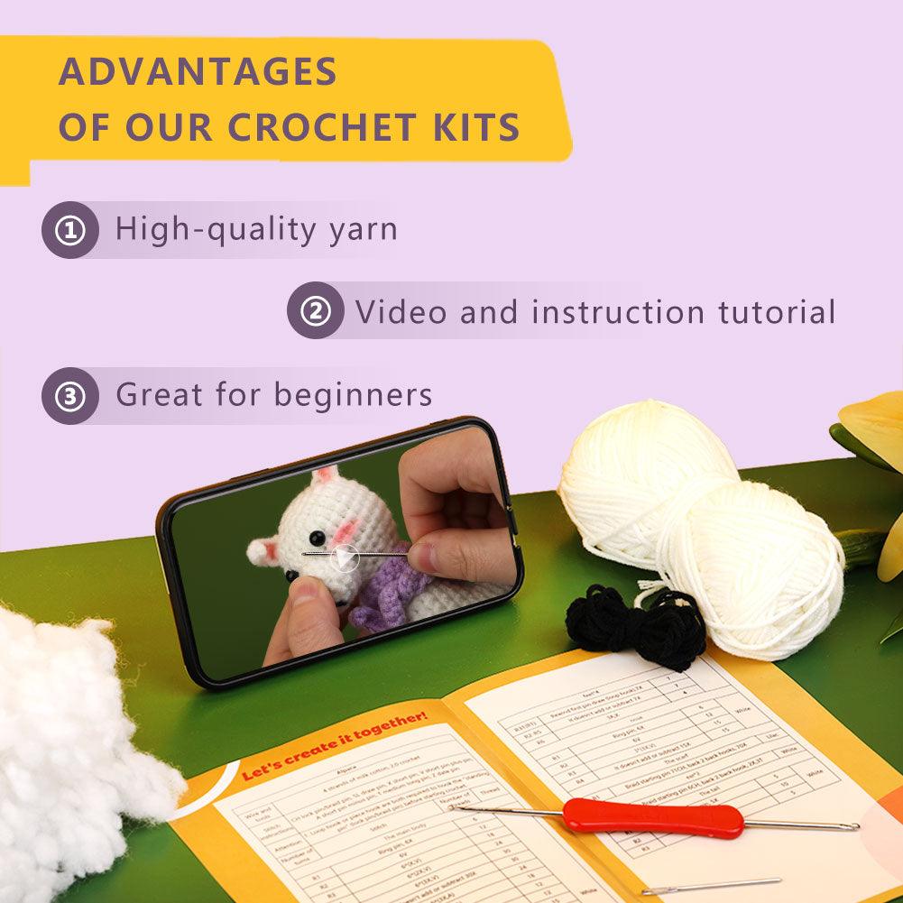 Beginners Crochet Kit-Christmas Gift - Dynamic Frog