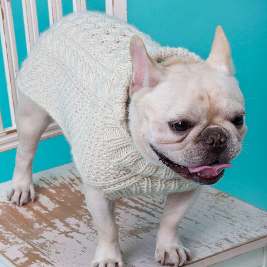 Red Heart Knit Cabled Dog Sweater