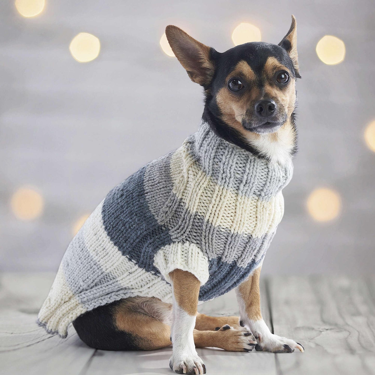 Red Heart Let’S O’Go Crazy Knit Dog Sweater Set