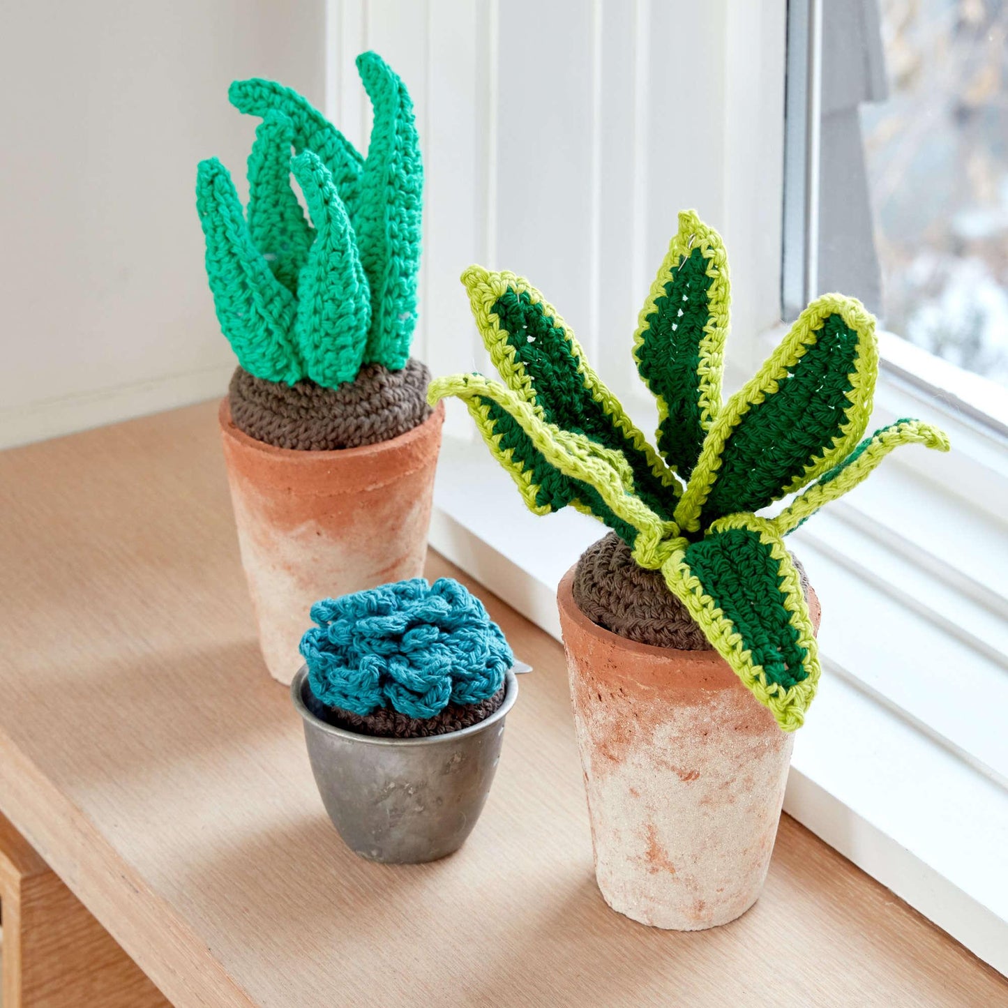 Lily Sugar'n Cream Crochet Succulents