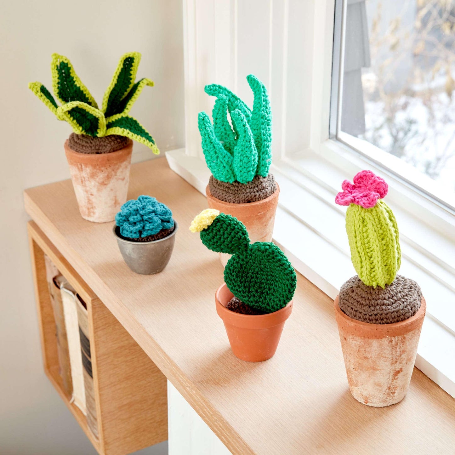 Lily Sugar'n Cream Crochet Succulents