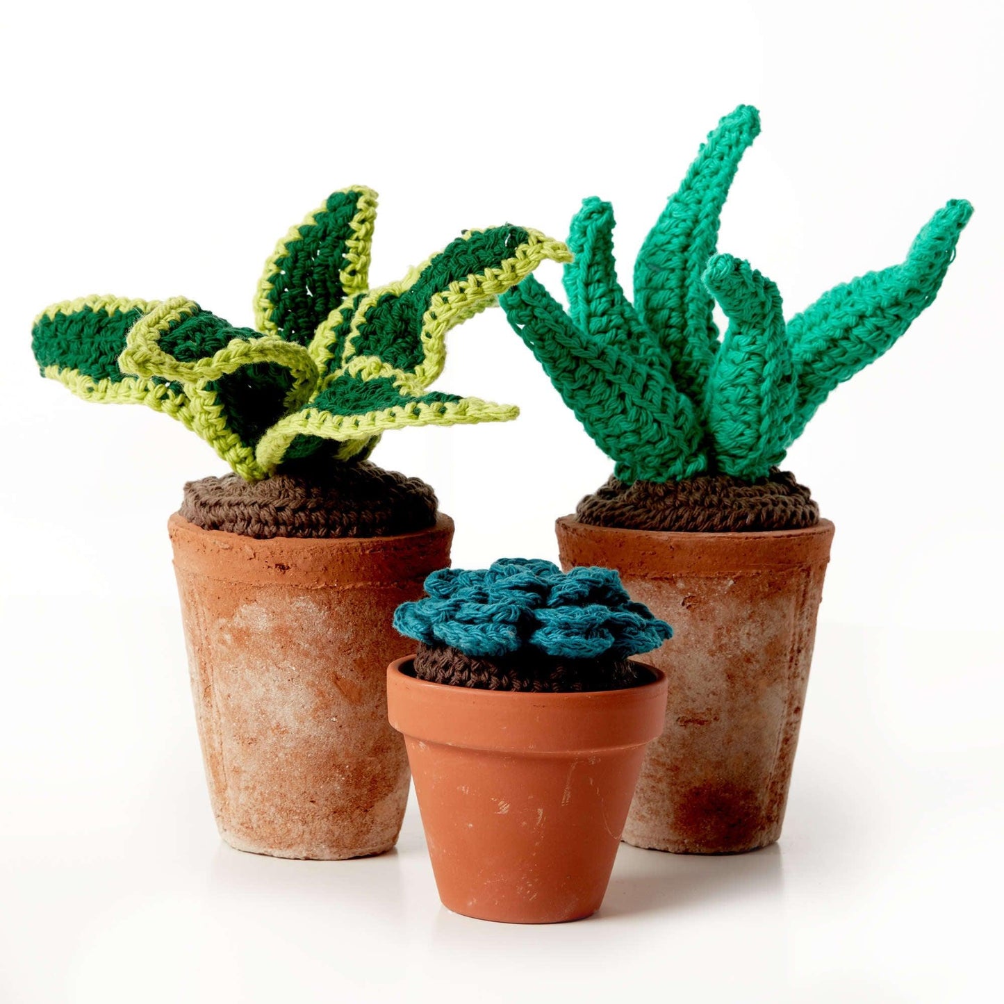 Lily Sugar'n Cream Crochet Succulents