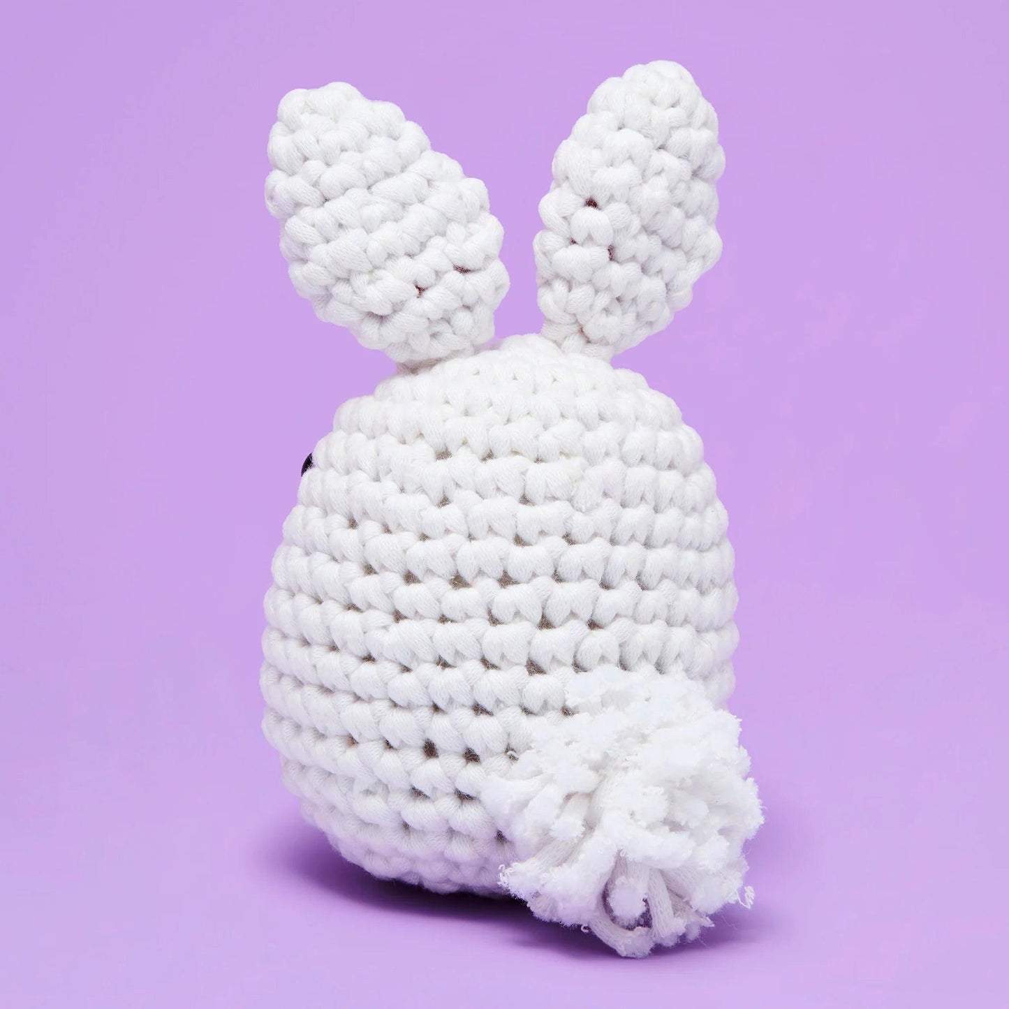 White Rabbit Crochet Kit for Beginners – Hop Into Crafting with Cuteness 🐇🧶 - Dynamic Frog