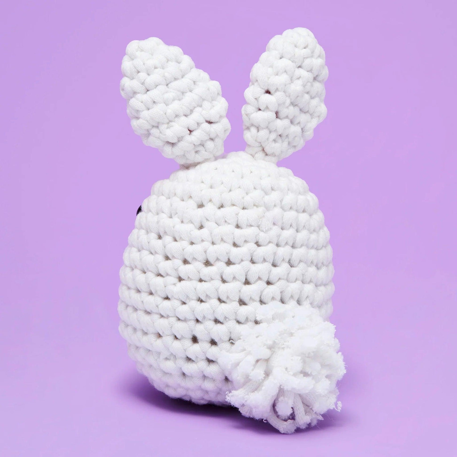 White Rabbit Crochet Kit for Beginners – Hop Into Crafting with Cuteness 🐇🧶 - Dynamic Frog