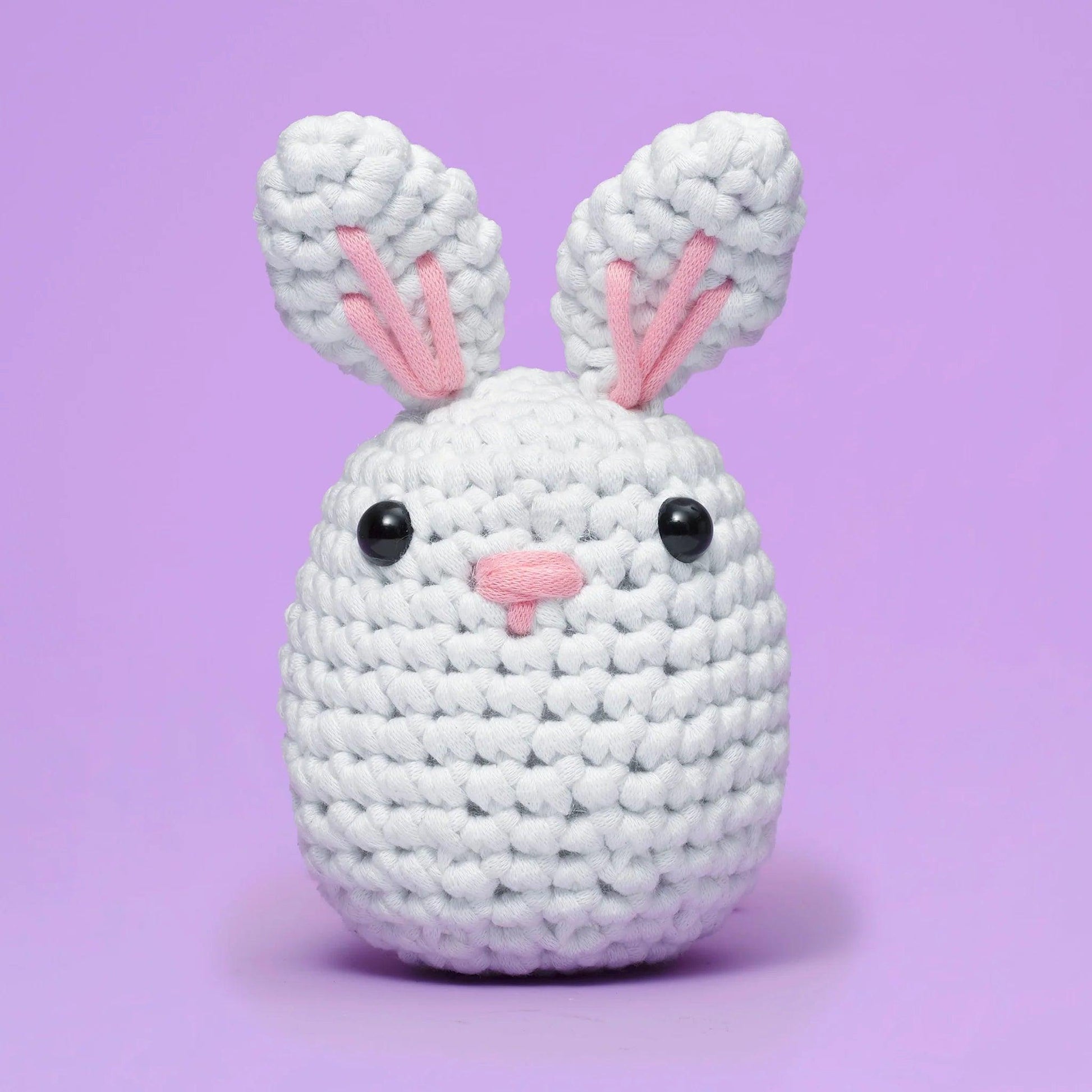 White Rabbit Crochet Kit for Beginners – Hop Into Crafting with Cuteness 🐇🧶 - Dynamic Frog